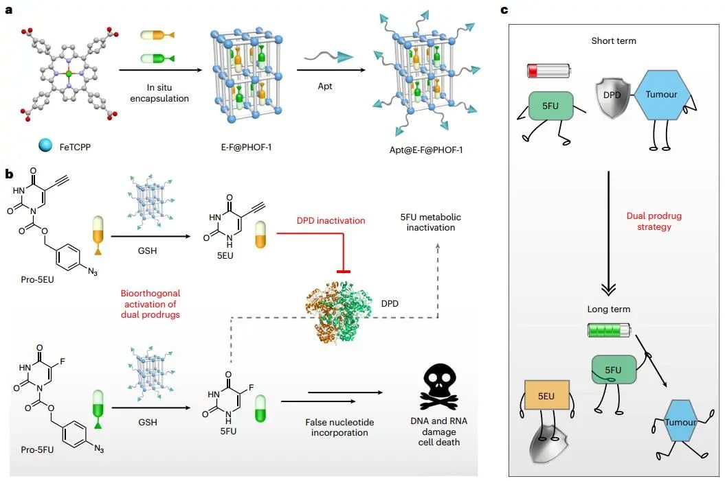 曲曉剛研究員，最新Nature Catalysis！