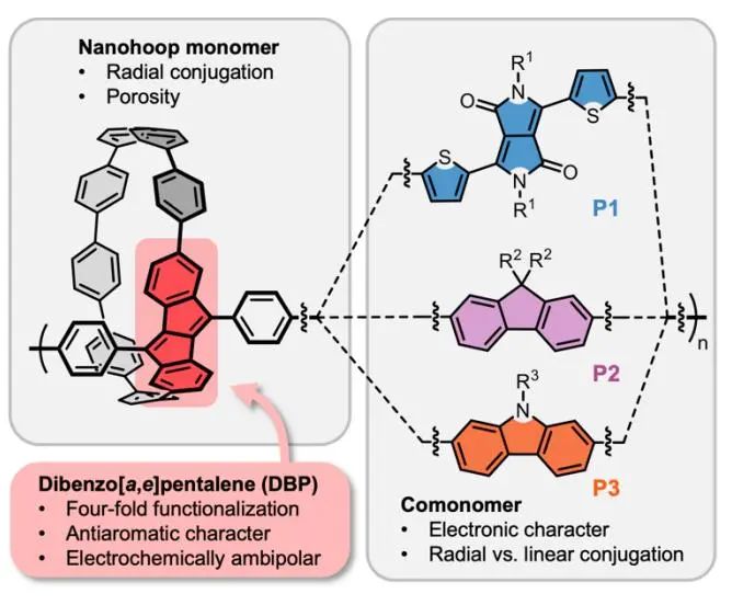 ?Angew.：基于抗芳香族二苯并五烯的共軛納米環(huán)聚合物用于有機(jī)電池中的電荷存儲(chǔ)