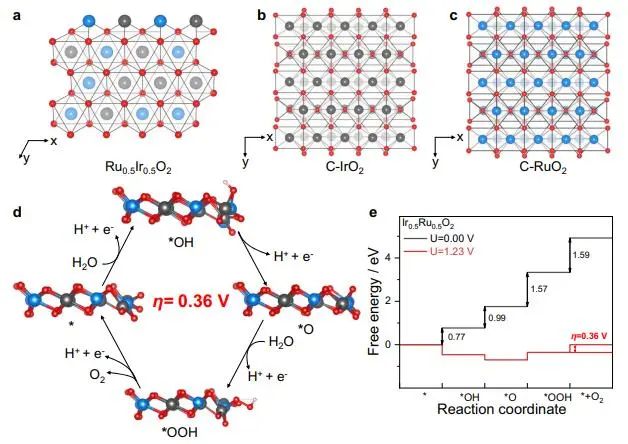 催化頂刊集錦：Nature子刊、Angew.、EES、AFM、ACS Nano等成果