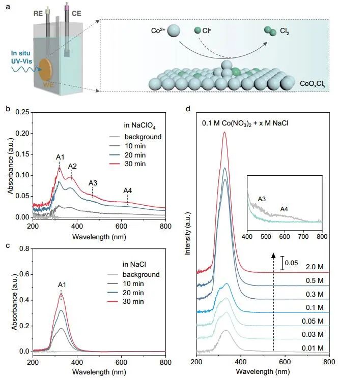 ?電子科大Nature子刊：CoOxCly電催化劑助力酸性鹽水中可持續(xù)析氯