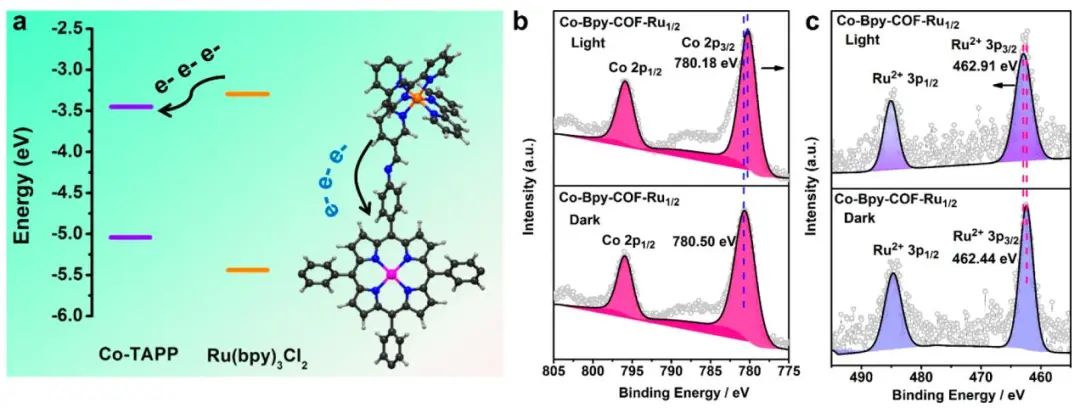 福建物構所黃遠標/曹榮JACS：Co-卟啉基共價有機骨架光電還原CO2