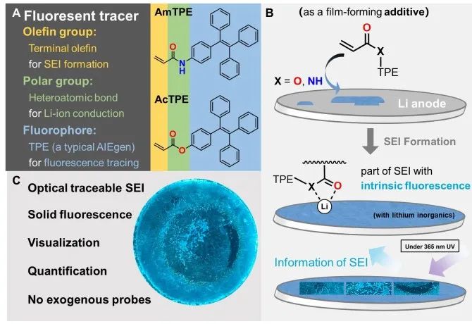 小熒光大作用！清華大學(xué)何向明/楊洋/危巖AM：利用熒光示蹤劑實現(xiàn)SEI跟蹤！