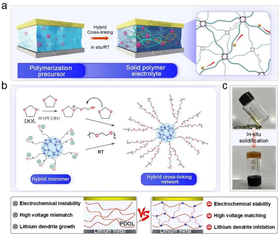 ?朱才鎮(zhèn)/田雷AM：原位固化聚合物電解質(zhì)實(shí)現(xiàn)高性能固態(tài)鋰金屬電池