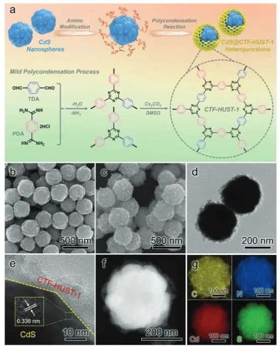 催化頂刊集錦：JACS、Nature子刊、Angew.、ACS Catal.、AFM、ACS Nano等成果