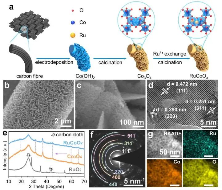 催化頂刊集錦：Nature子刊、JACS、EES、Angew.、AFM、ACS Catal.等