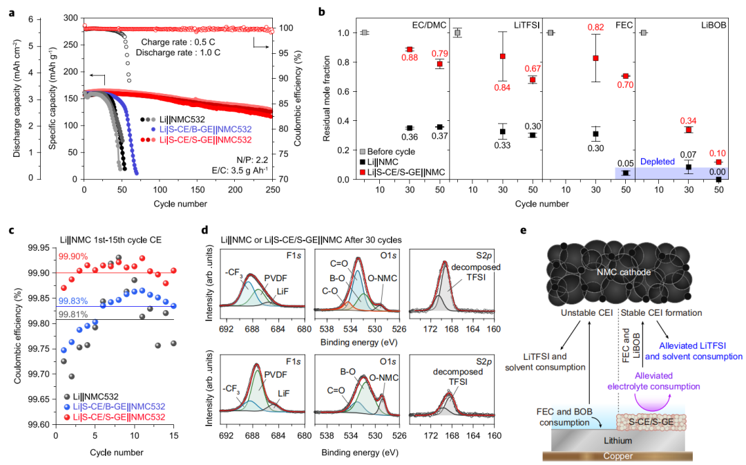 孟穎等Nature子刊：遷移數(shù)0.96！單離子導(dǎo)體助力高能鋰金屬電池！