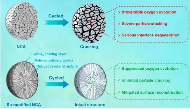 紀(jì)效波教授ACS Nano：高性能超高鎳層狀正極的多尺度晶體場(chǎng)效應(yīng)