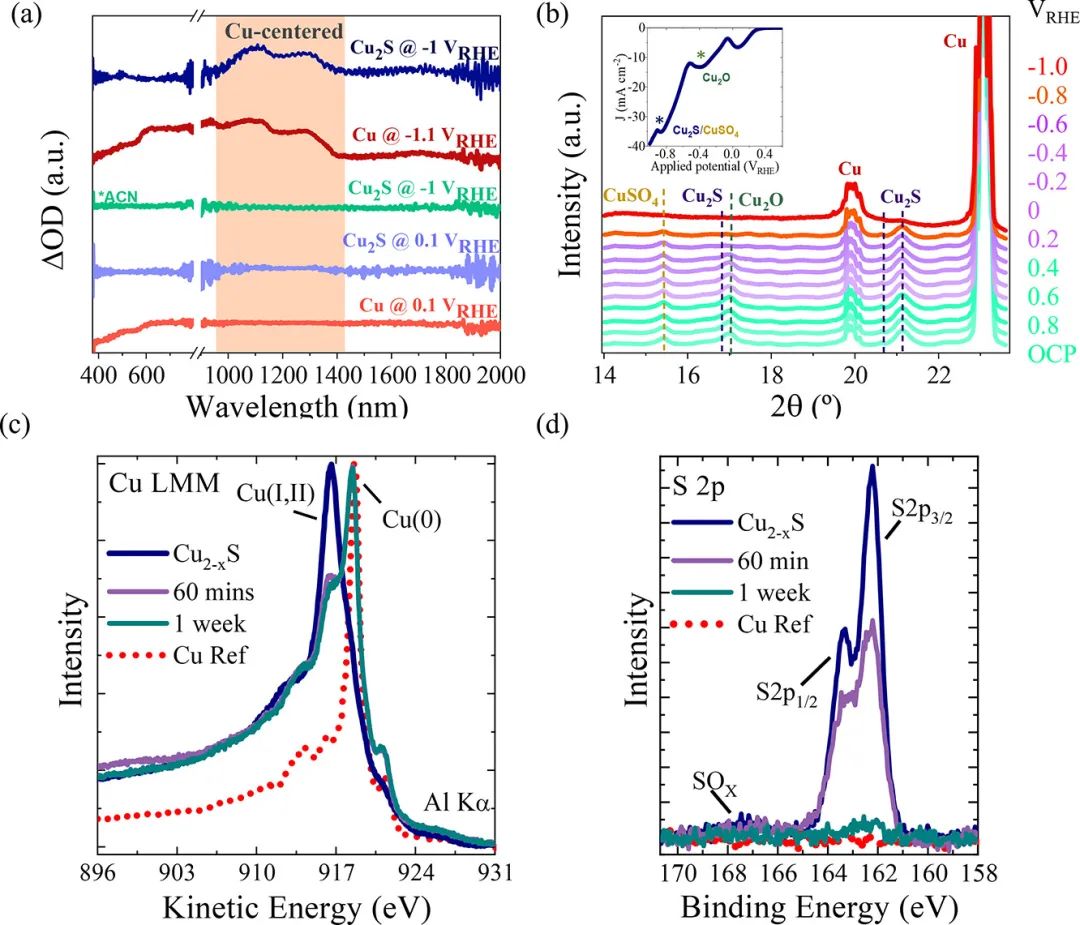 催化頂刊合集：AM、JACS、Angew.、ACS Energy Letters、ACS Catalysis、CEJ等成果！