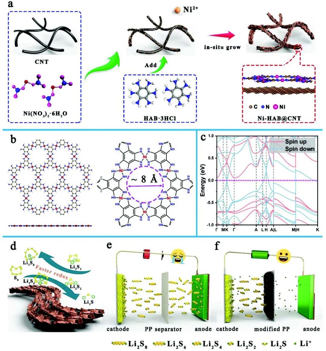 朱俊武/付永勝Adv. Sci.：π-d共軛導(dǎo)電MOF促進鋰硫電池中多硫化物轉(zhuǎn)化