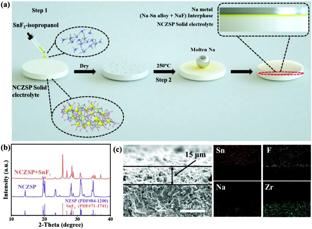 周震/唐賓AFM：SnF2誘導(dǎo)復(fù)合導(dǎo)電層，助力低阻抗固態(tài)鈉電池