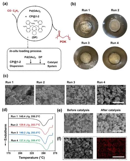 ?浙大JACS：通過動態(tài)組合精確調(diào)控COF中多級孔結(jié)構(gòu)，探究其催化應用