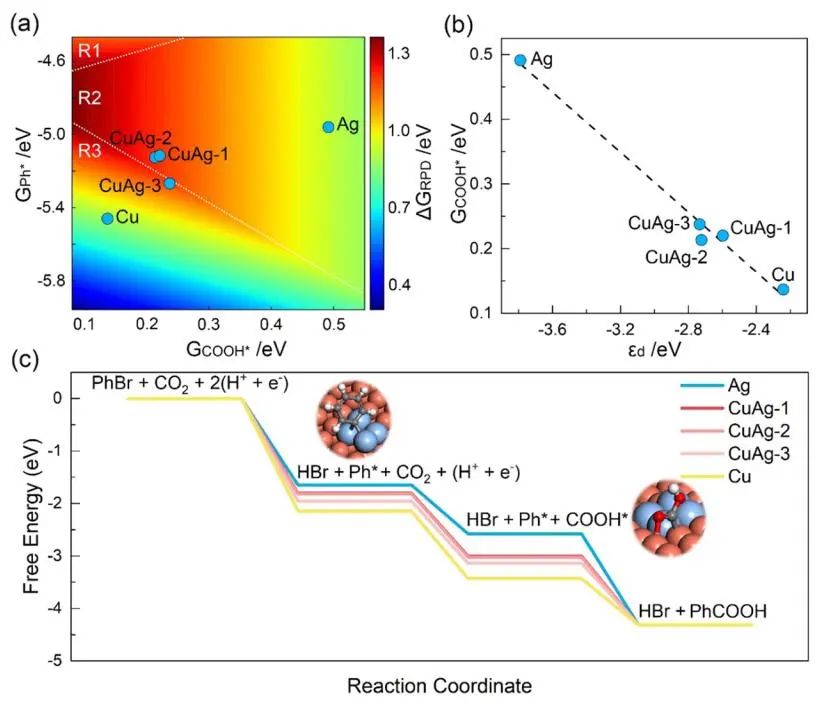 大連化物所ACS Catalysis：雙功能CuAg電催化劑助力芳基溴對羧酸的CO2固定