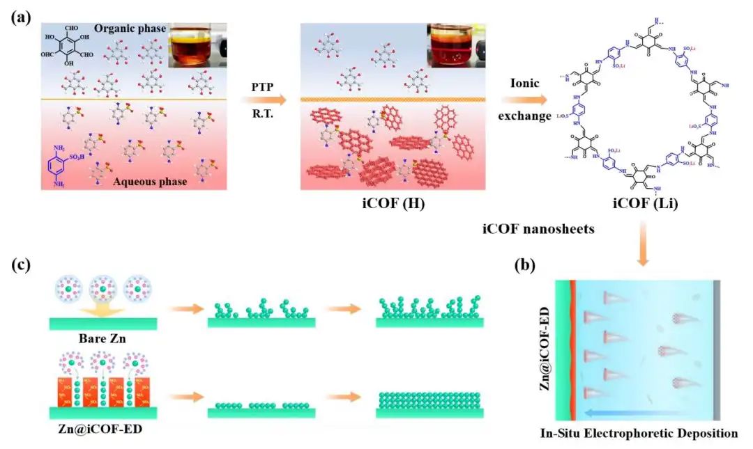 ?陳忠偉/王新/程博聞Nano Energy：原位電泳沉積法構(gòu)建COF人工SEI，穩(wěn)定鋅金屬負(fù)極