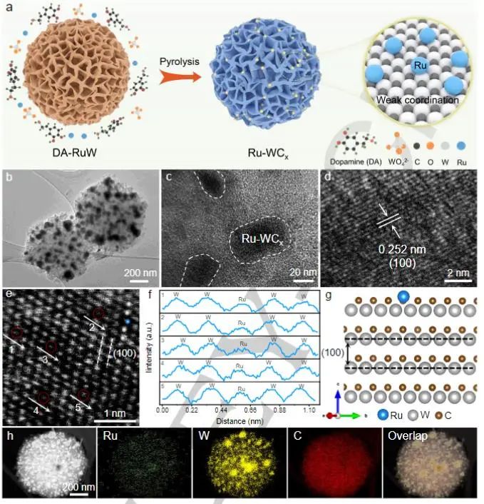 催化頂刊集錦：Nature子刊、Angew.、EES、AFM、ACS Nano等成果