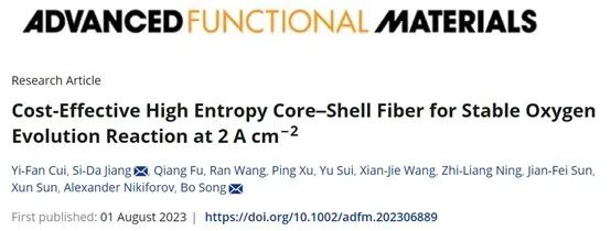 ?哈工大AFM：具有成本效益的高熵核殼纖維實現(xiàn)大電流密度析氧