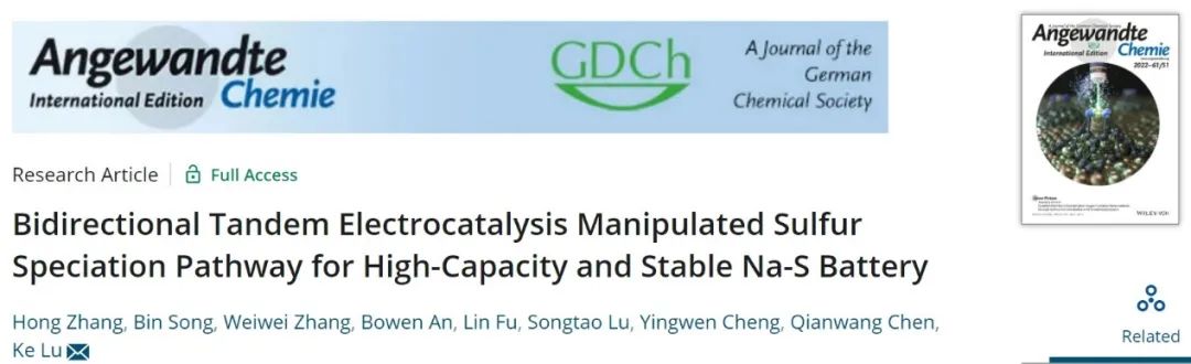 安大Angew：基于雙功能催化硫主體的高容量Na-S電池