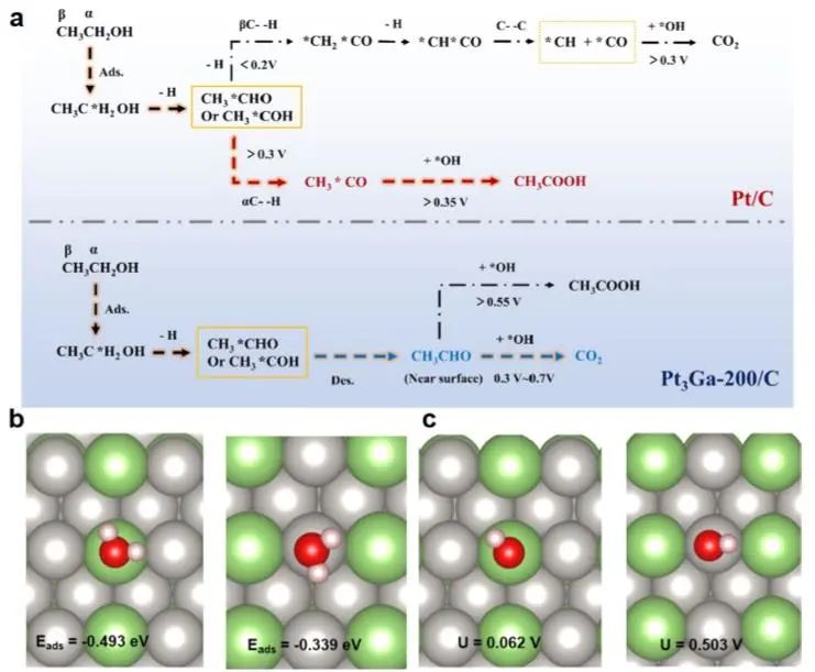 廈大JACS：Ga改變Pt-Ga/C近表面組成，促進乙醇通過C2路徑高效電化學氧化