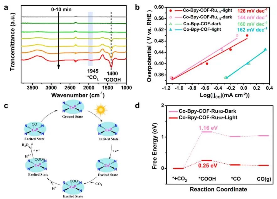 福建物構所黃遠標/曹榮JACS：Co-卟啉基共價有機骨架光電還原CO2