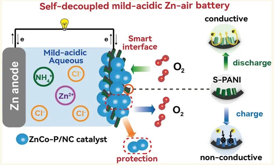 ?ACS Nano：自解耦氧電催化過(guò)程用于弱酸性可充金屬鋅-空氣電池