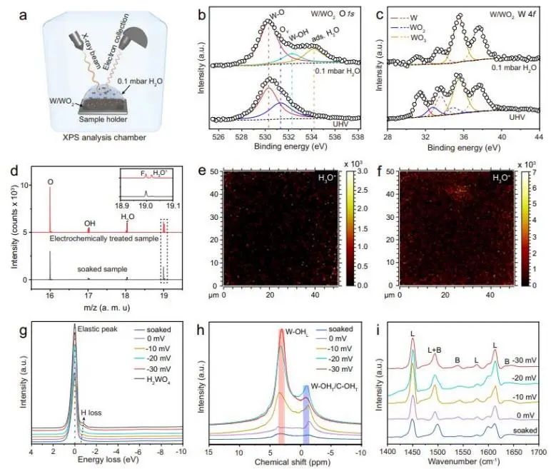 催化頂刊集錦：Nature子刊、Angew.、EES、AFM、ACS Nano等成果