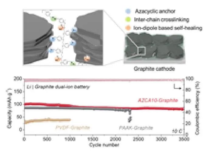 AFM：氮雜環(huán)錨定粘性石墨電極用于可持續(xù)陰離子存儲(chǔ)