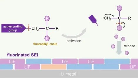 9篇Angew，4篇AM，Joule、JACS、Chem…全球高被引科學家清華張強教授2022年成果精選！