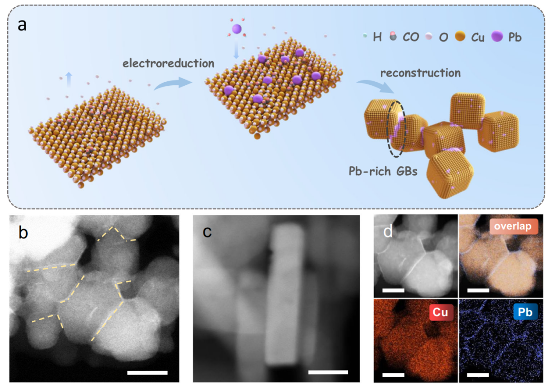 復(fù)旦徐昕/張波Nature子刊：構(gòu)筑富Pb的Cu晶界位點(diǎn)，選擇性電催化CO還原成正丙醇！