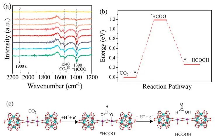 中山大學(xué)廖培欽JACS：瓶中載船！NU-1000-Sn酸性電還原CO2