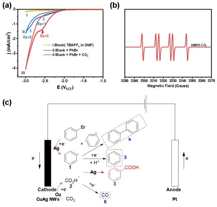 大連化物所ACS Catalysis：雙功能CuAg電催化劑助力芳基溴對羧酸的CO2固定