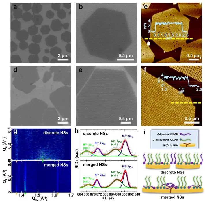 催化頂刊集錦：Nature子刊、Angew.、EES、AFM、ACS Nano等成果