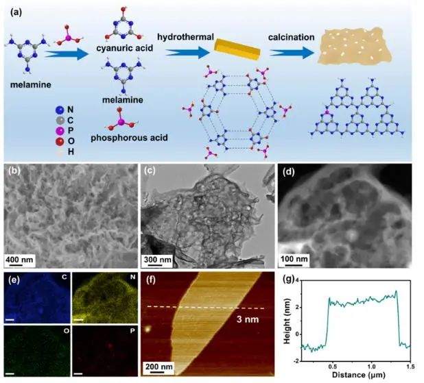 催化頂刊集錦：JACS、Nature子刊、Angew.、ACS Catal.、AFM、ACS Nano等成果