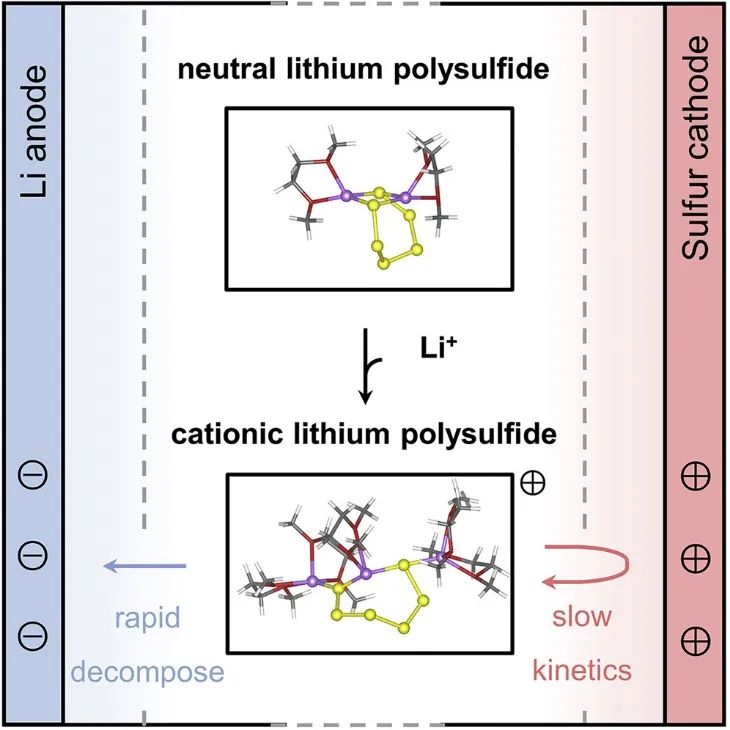 9篇Angew，4篇AM，Joule、JACS、Chem…全球高被引科學家清華張強教授2022年成果精選！