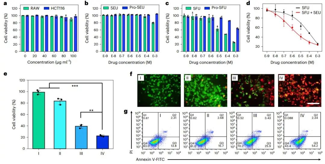 曲曉剛研究員，最新Nature Catalysis！