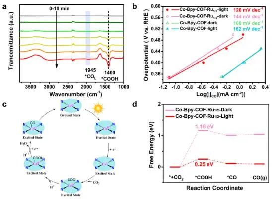 物構(gòu)所JACS：光敏劑修飾COF，用于光耦合電還原CO2轉(zhuǎn)化為CO