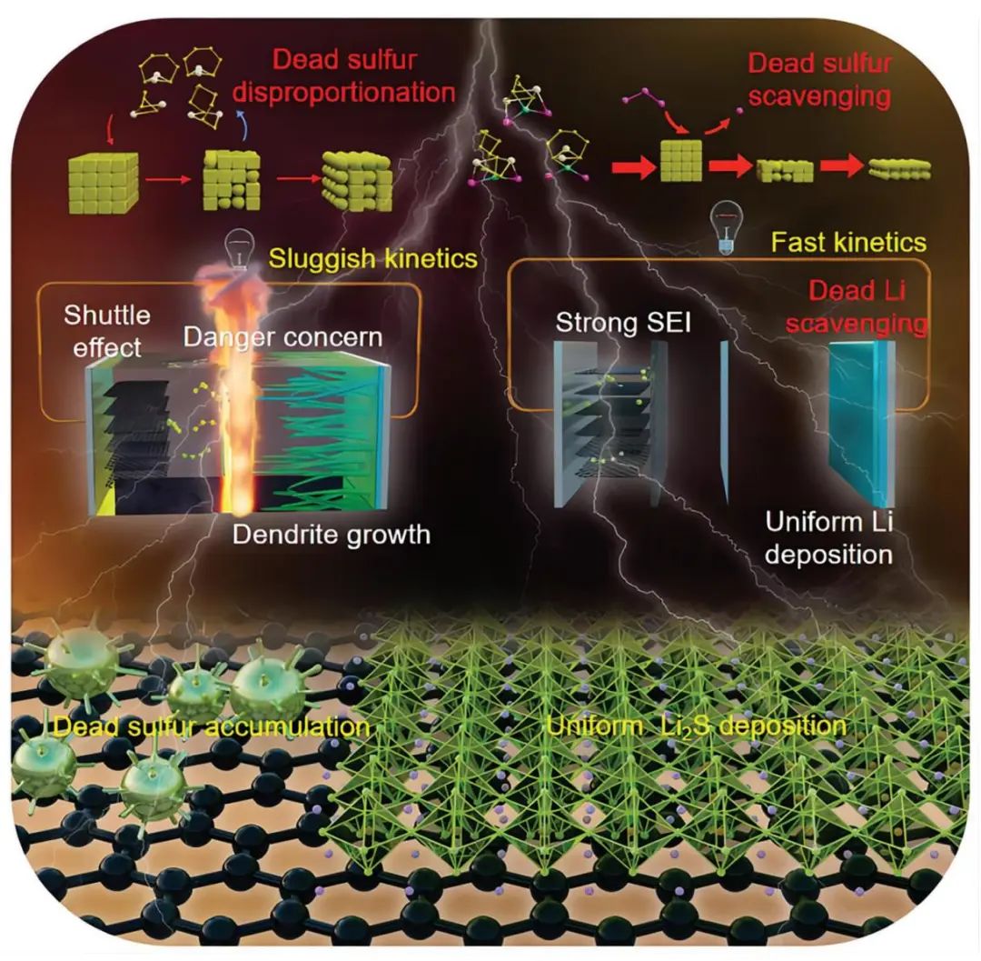 河南大學(xué)肖助兵AFM：集成-多相催化清除“死硫”和“死鋰”助力先進(jìn)鋰硫電池