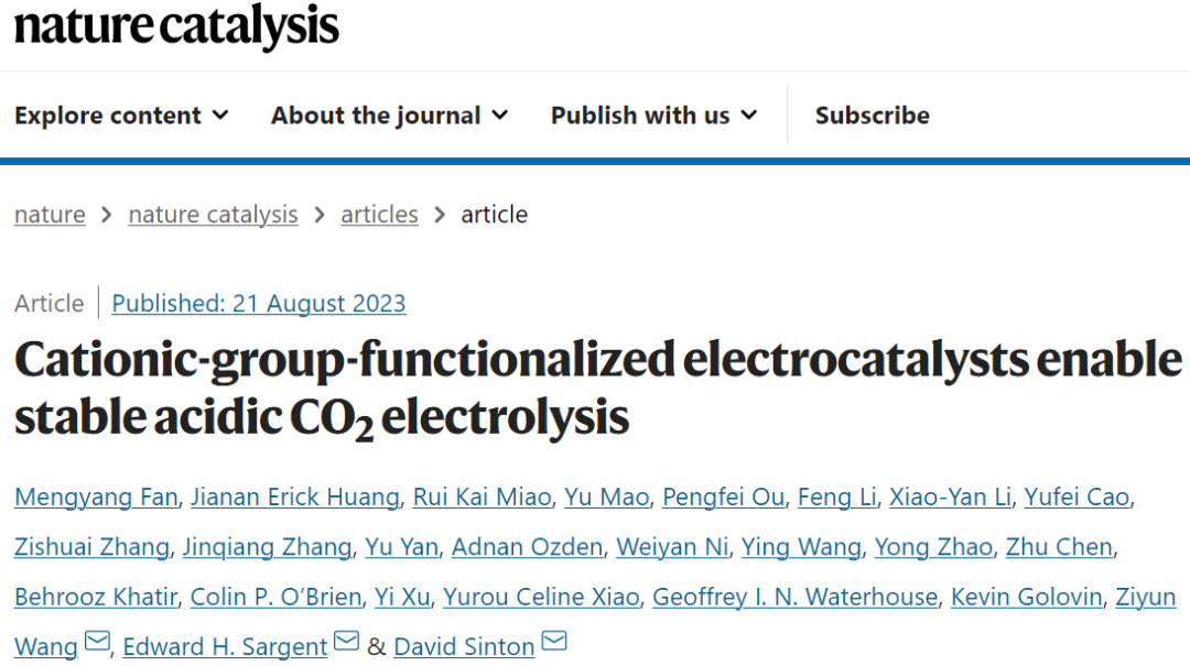 院士聯(lián)合出擊！多倫多大學(xué)/奧克蘭大學(xué)最新Nature Catalysis！