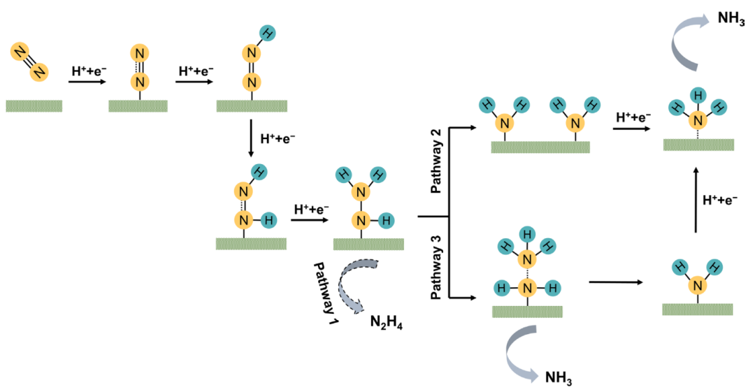 天大王拓/鞏金龍，最新PNAS！攻克電催化氮還原難題！