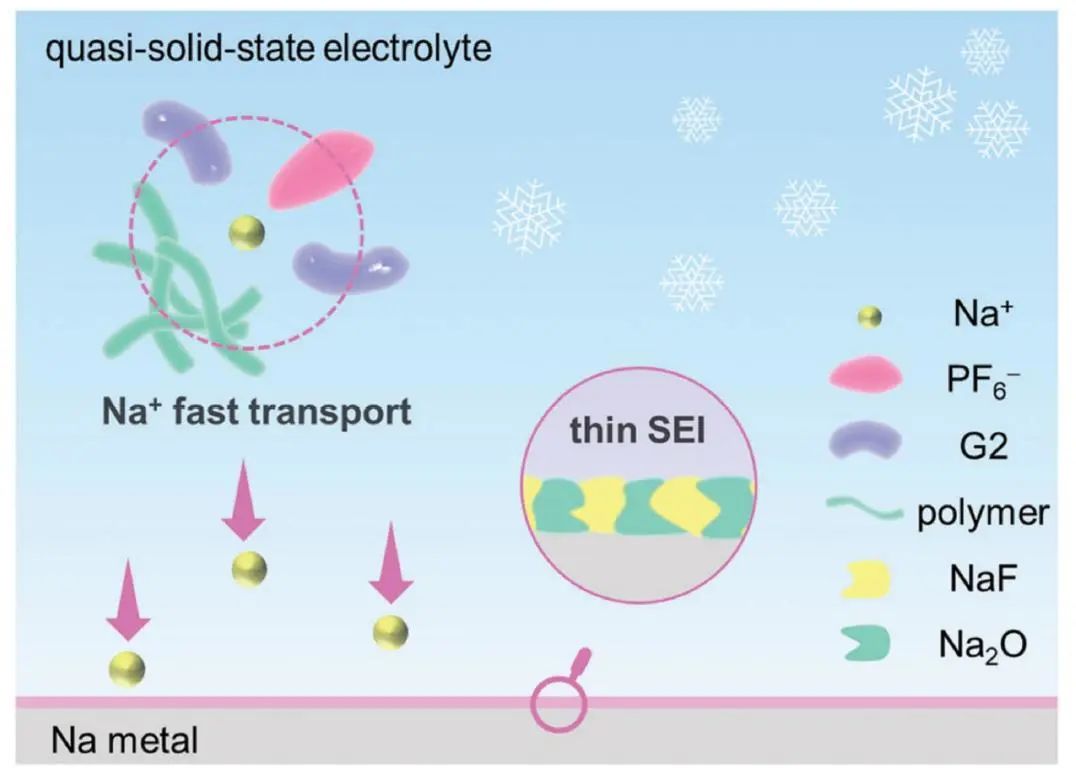 同濟(jì)大學(xué)羅巍團(tuán)隊(duì)AFM：低溫鈉金屬電池用準(zhǔn)固態(tài)聚醚電解質(zhì)
