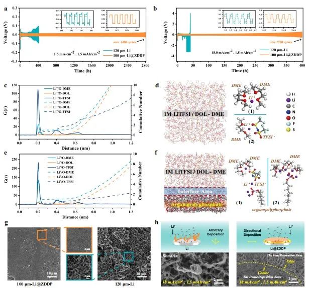 中南陳立寶/陳月皎，最新Nature子刊！