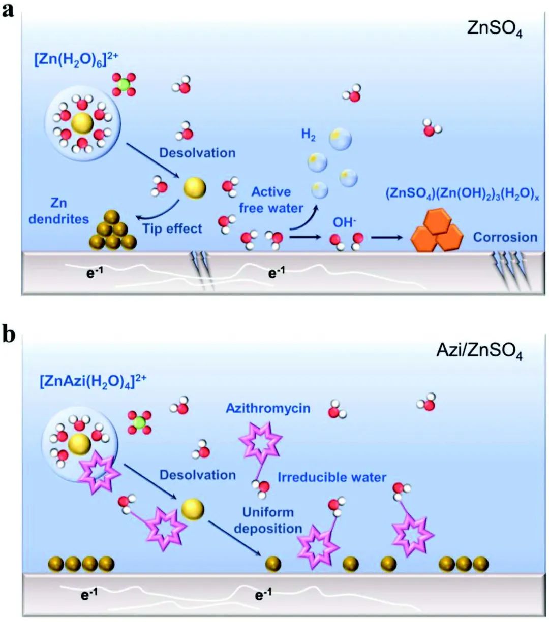 納米能源所蒲雄/胡衛(wèi)國(guó)AFM：離子載體添加劑抑制鋅電池中的析氫并促進(jìn)均勻沉積