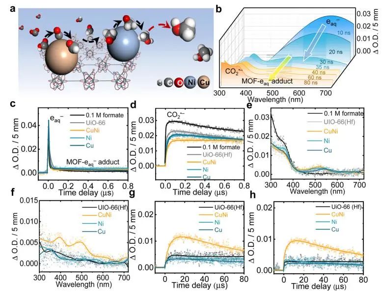 Nature子刊：高能輻射耦合CuNi SAs/UiO-66(Hf)，實現高選擇性還原CO2生成CH3OH