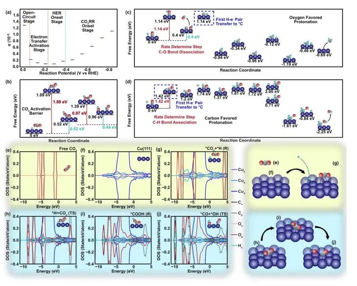 催化頂刊集錦：Nature子刊、JACS、EES、Angew.、AFM、ACS Catal.等