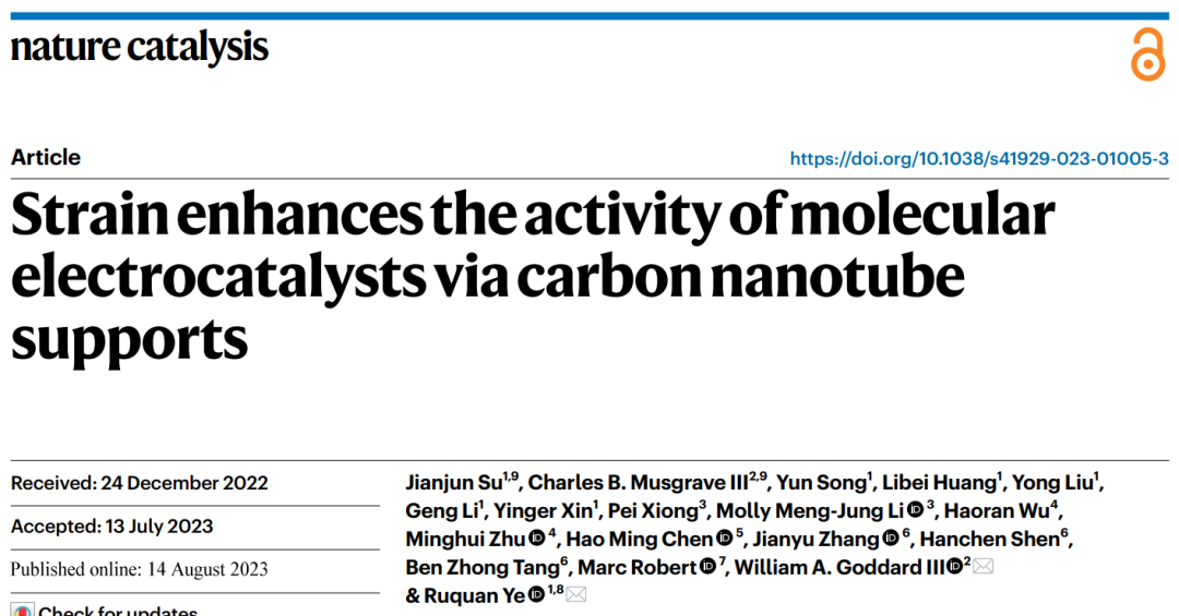 葉汝全團隊Nature Catalysis：給單原子催化劑施加一點應變，效果更好！