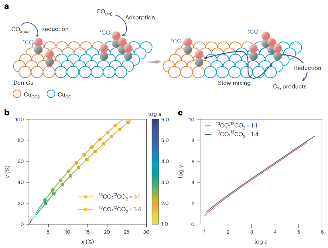 北京大學(xué)徐冰君團(tuán)隊(duì)，最新Nature Catalysis！