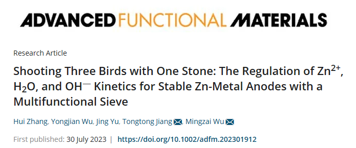 一石三鳥(niǎo)！吳明在/蔣童童AFM：多功能篩有效調(diào)控鋅金屬陽(yáng)極動(dòng)力學(xué)！