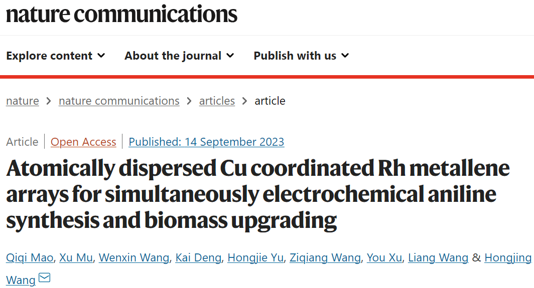 浙工大王鴻靜Nature子刊：CuSA-Rh MAs/CF同時(shí)電化學(xué)合成苯胺和生物質(zhì)升級