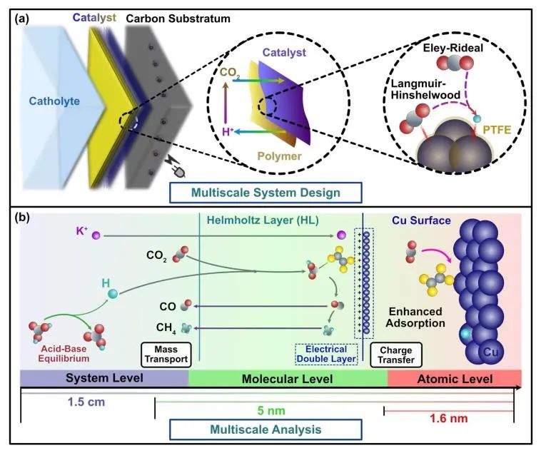 催化頂刊集錦：Nature子刊、JACS、EES、Angew.、AFM、ACS Catal.等