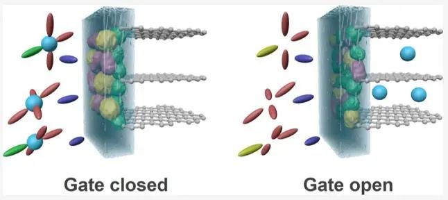 四單位聯(lián)合?JACS：固體電解質(zhì)界面的選擇性離子傳輸