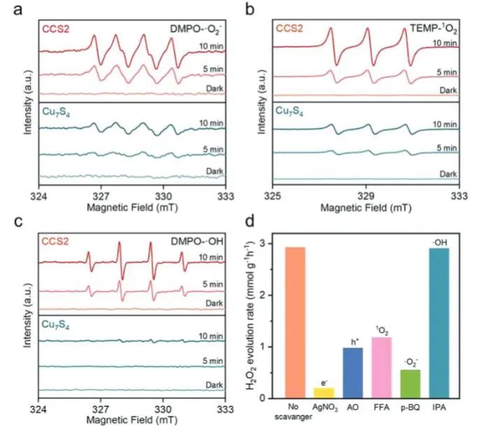 催化頂刊集錦：Nature子刊、Angew.、EES、AFM、ACS Nano等成果