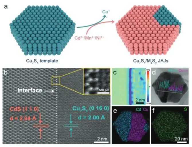 ?喬世璋/冉景潤(rùn)AFM：等離激元能量上轉(zhuǎn)換立大功，有效強(qiáng)化Cu7S4/MxSy Janus原子結(jié)多功能光催化